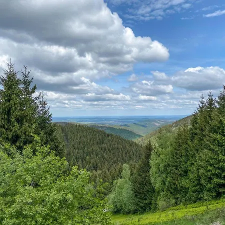 Ferienwohnung-am-wolfstein *